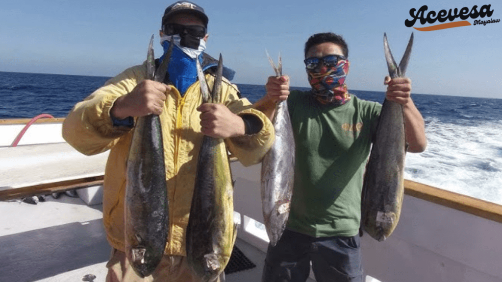 Can You Go Fishing in San Diego?