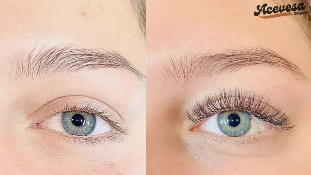 how long does a lash lift last